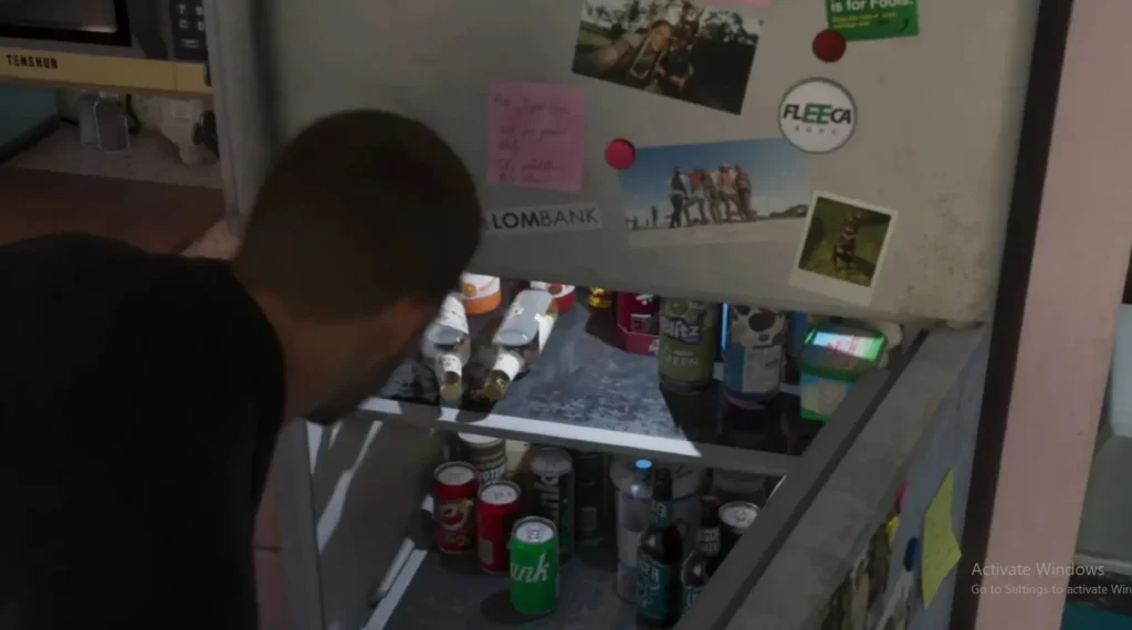 What the Fridge Actually Does in the Game?